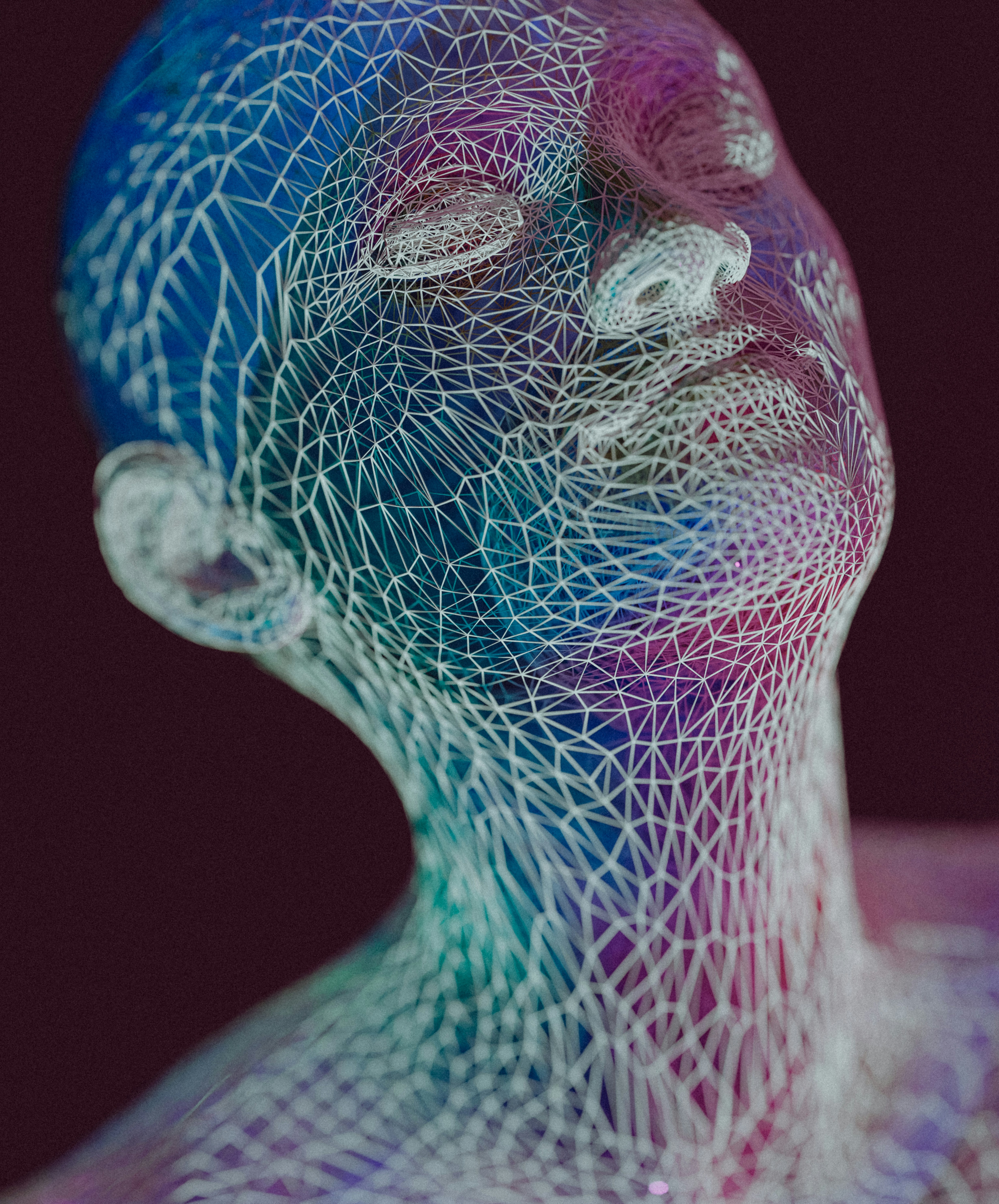 Calm natural setting, representing nervous system equilibrium and peace