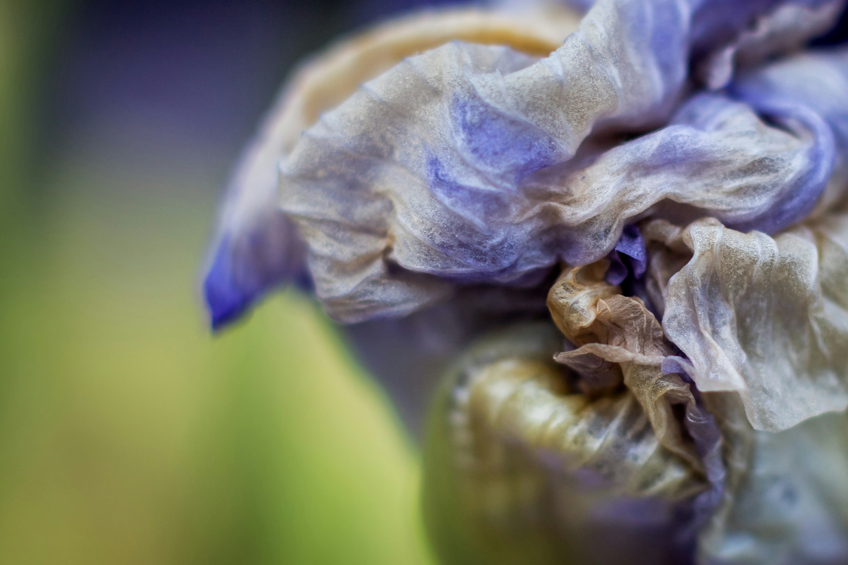 Somatic psychotherapy — your body keeps the score, and the cure