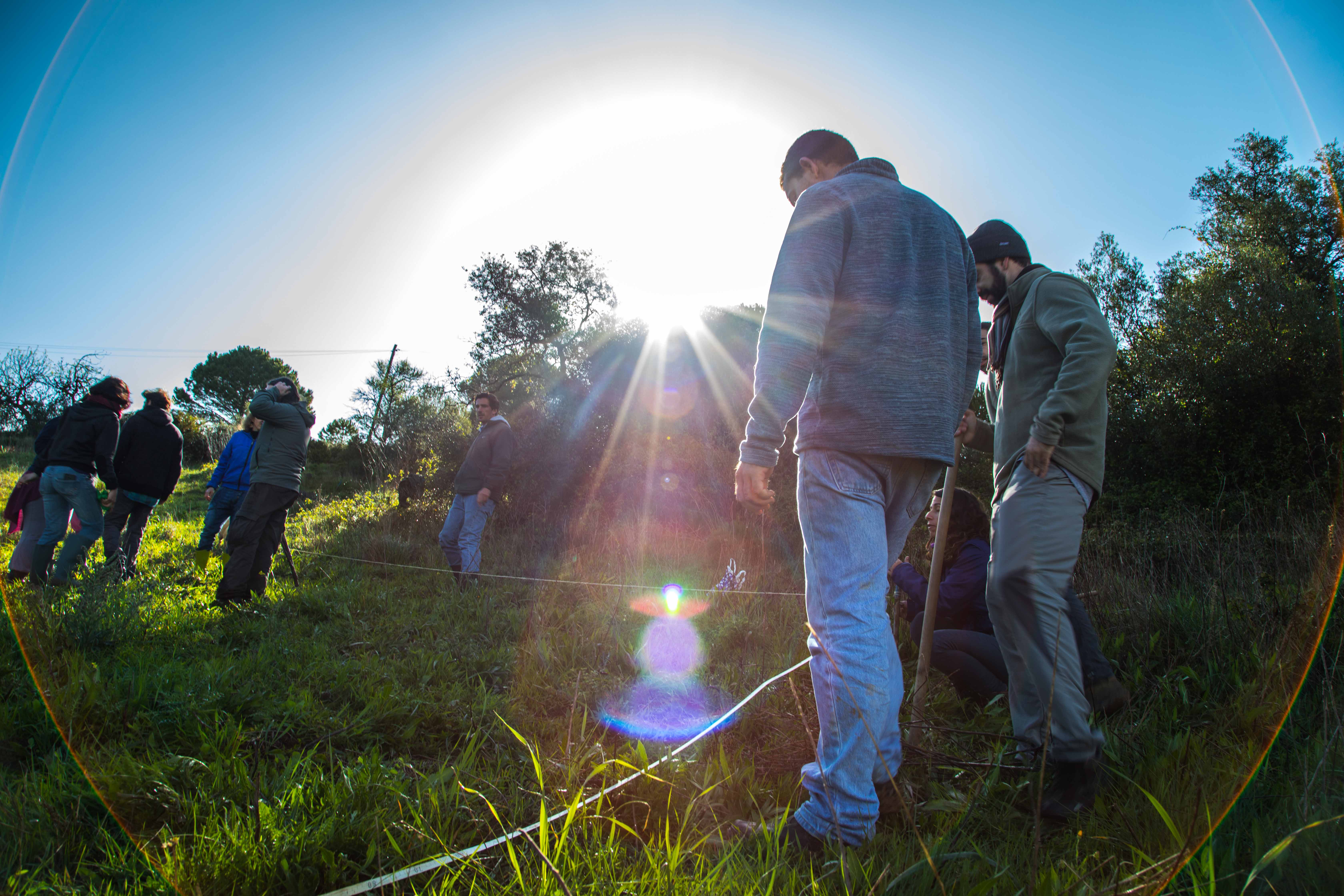 The process of therapy — building capacity and understanding