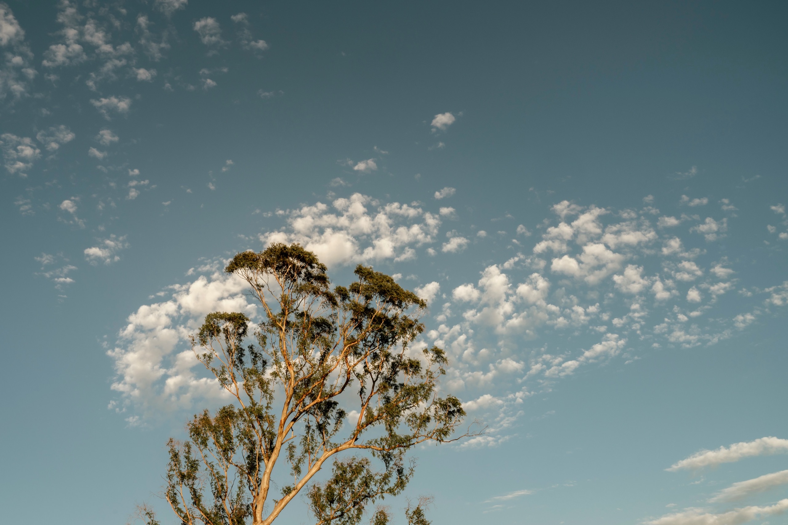 A quiet natural landscape