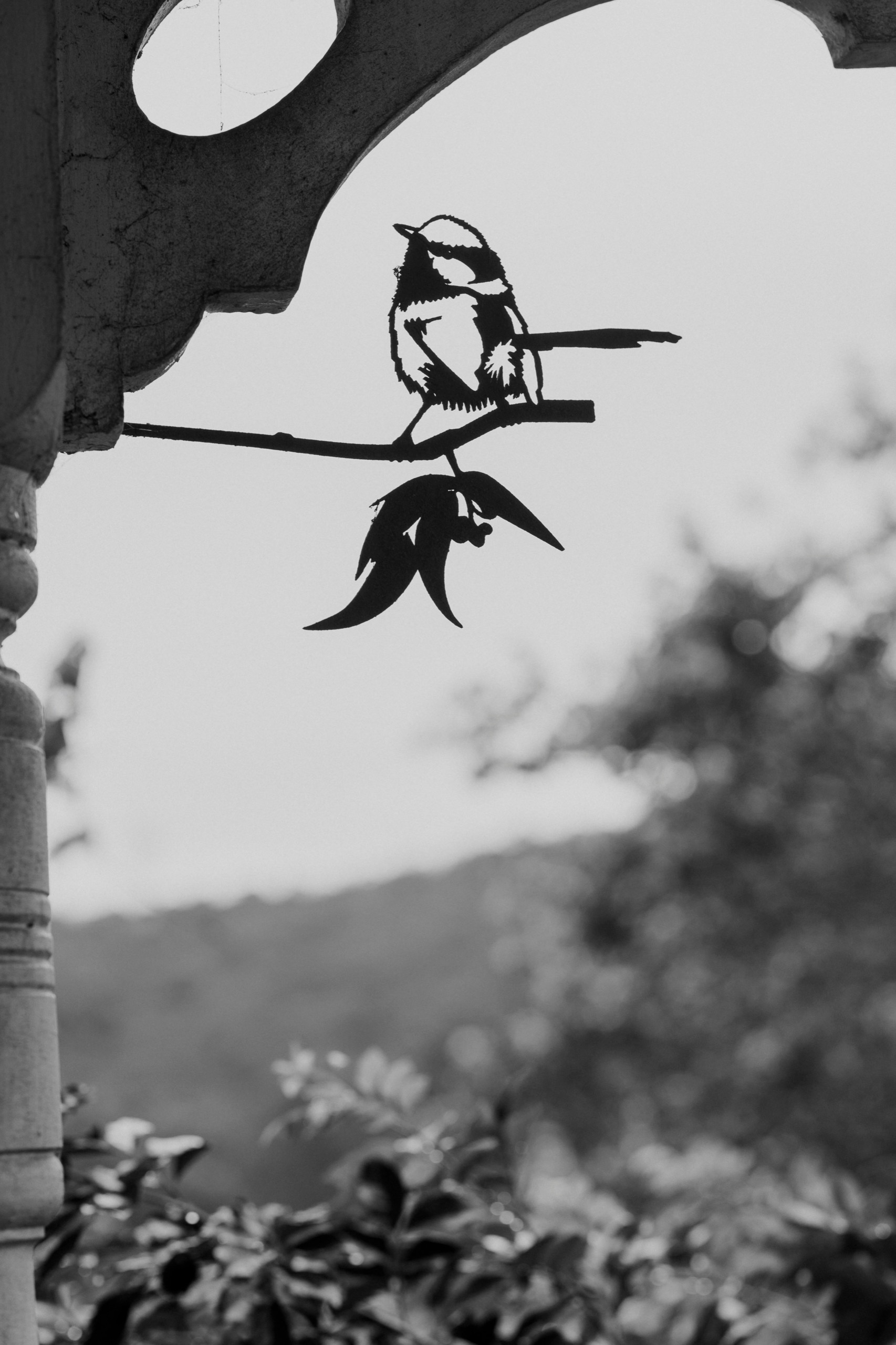 A metal bird ornament on a branch, with hills soft in the background