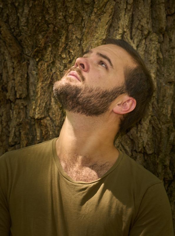 Looking up at trees, representing contemplative practice and connection to nature