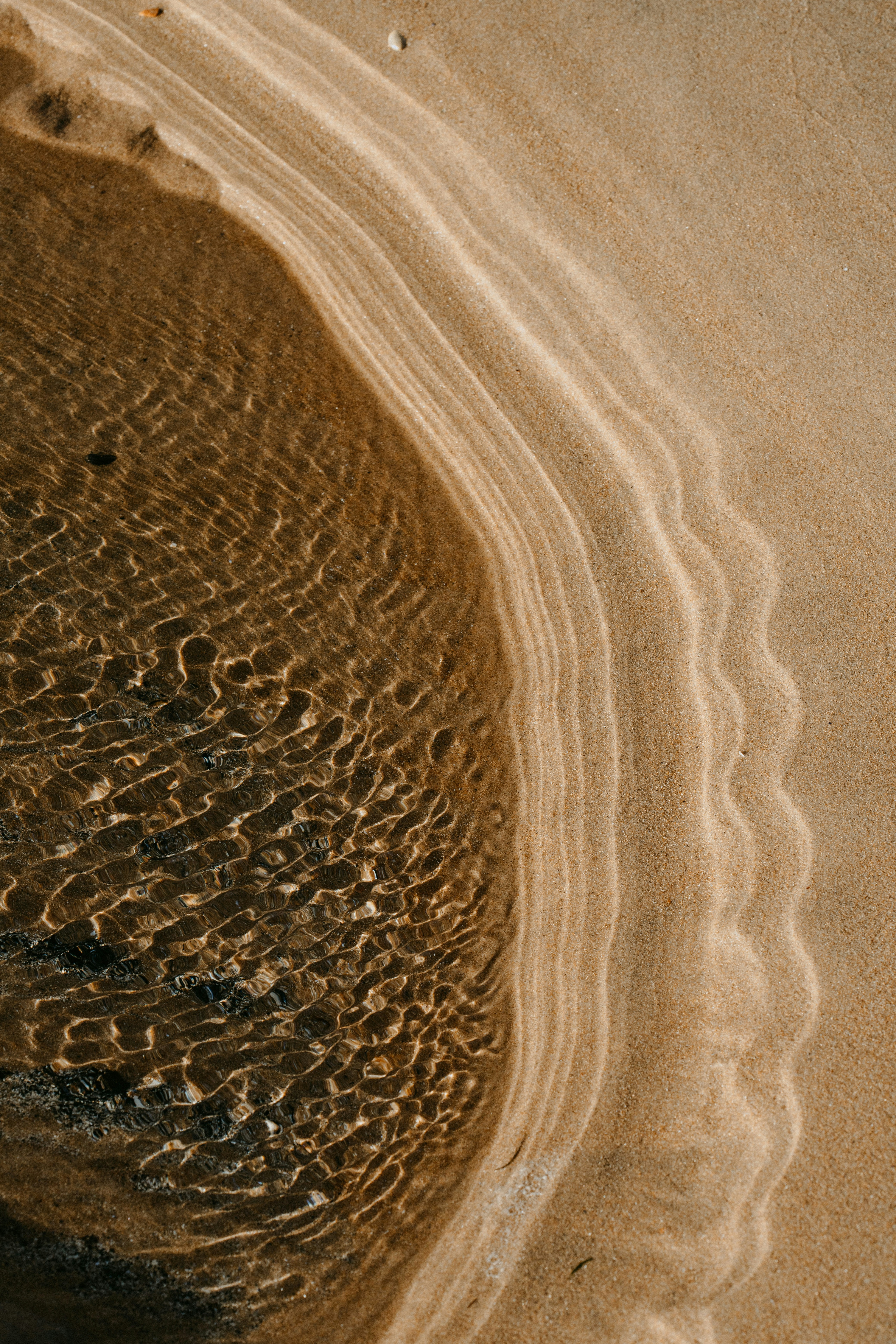 Water meeting sand — the felt edge between body and awareness